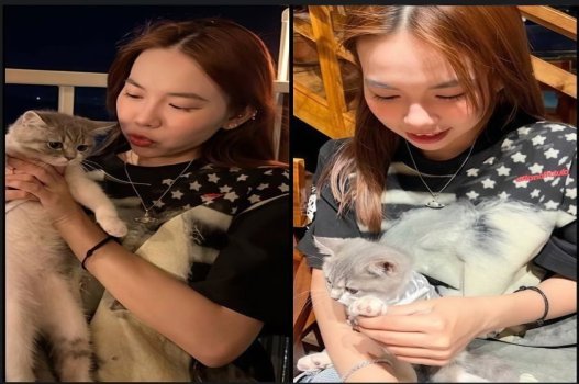 những trang web sex hay,sex việt moi,phim sex hà linh Cô nhân viên nhà thổ và anh khách quen chân thành